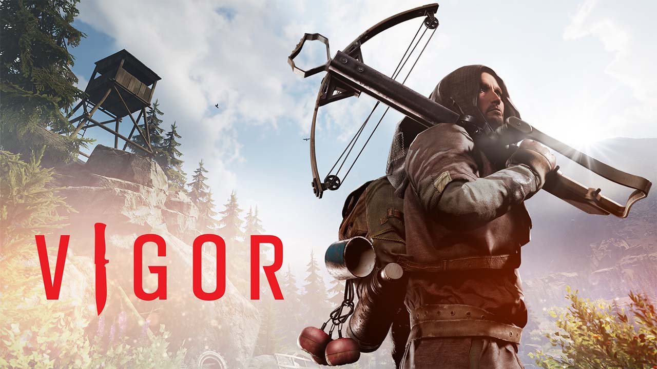 impressoes-vigor-capa