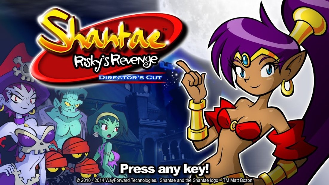 Shantae Risky's Revenge - Director's Cut