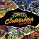 Capa de Teenage Mutant Ninja Turtles: The Cowabunga Collection