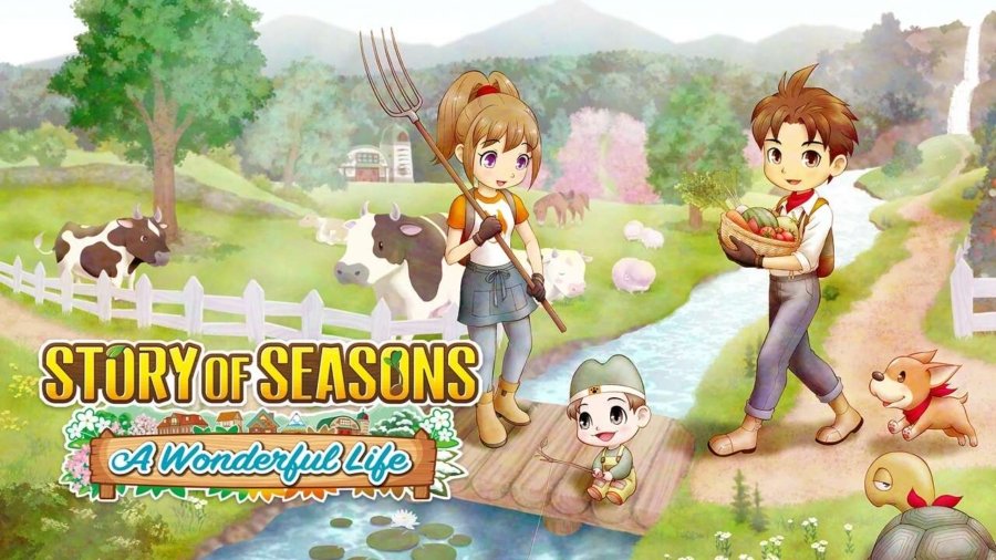Story of Seasons: A Wonderful Life capa