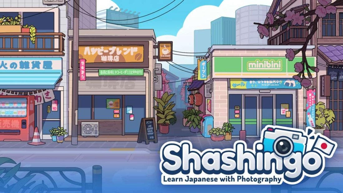 review-shashingo-switch-1