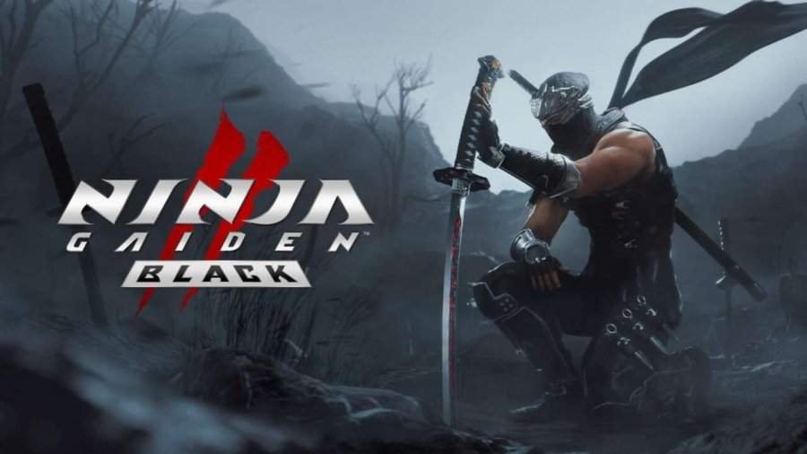 Capa de Ninja Gaiden 2 Black