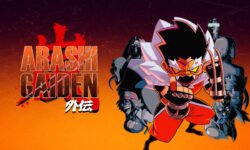 review-arashi-gaiden-switch-1