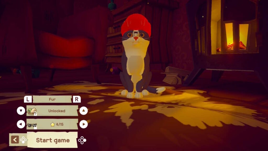 Cena de personalização do gato